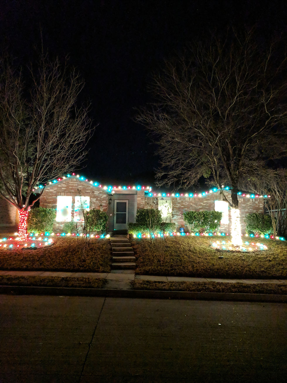 Holiday Lighting Two Brothers Christm