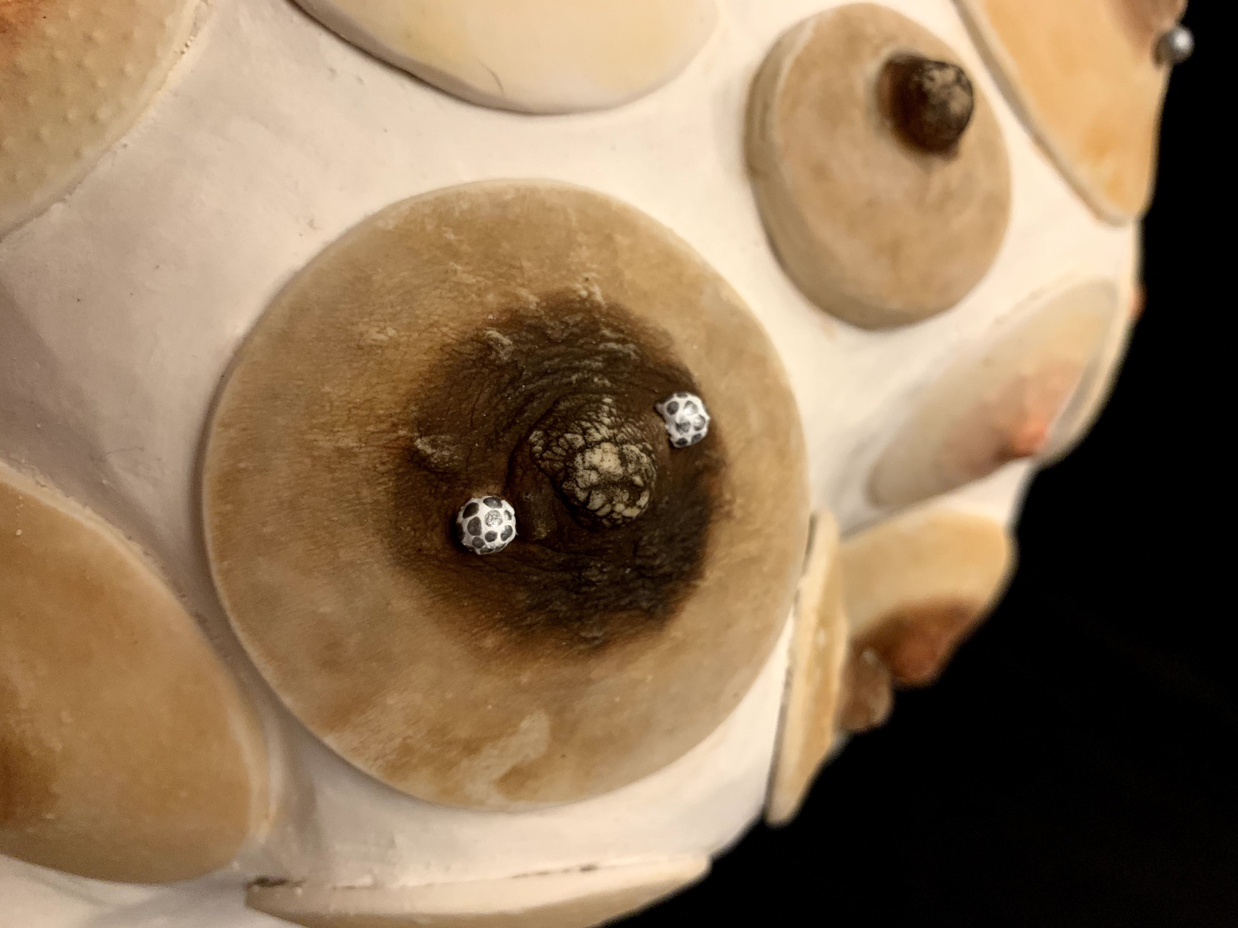 Thumbnail: 'Skin Suit' #FREETHENIPPLE