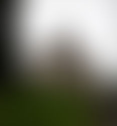 ИМА ЛИ СМИСЪЛ ДА СЕ ВАКАНЦУВА В РУМЪНИЯ? ОТГОВОРЪТ Е...