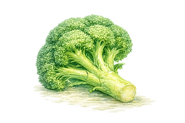 kalavik-broccoli_edited.png