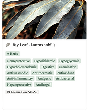 kalavik-atlas-bay-leaf.png