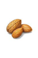 Kalavik-almonds.png