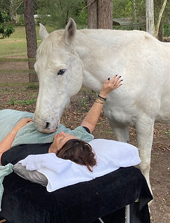 Reiki sessions at Equilibrium Therapies Australia