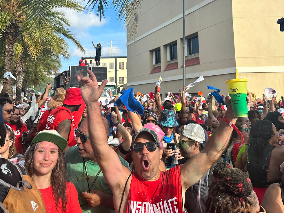 Parade participants enjoy St. Thomas Carnival.