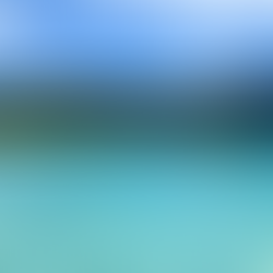 Where to Stay in St. Thomas: Your Island Guide