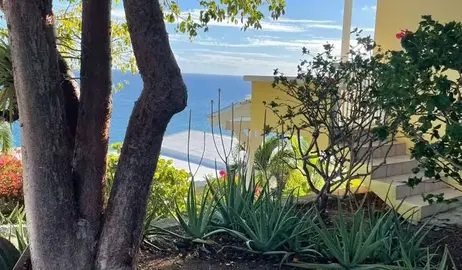 Marbella26.webp