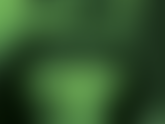 NOTA DE REPÚDIO À POLÍTICA DO GOVERNO BRASILEIRO NO ATENDIMENTO AOS POVOS INDÍGENAS E TRADICIONAIS