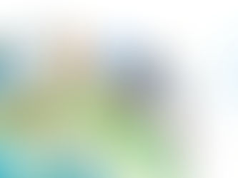 Irmãs da Santa Cruz: Apoio Corporativo à Migração 2020