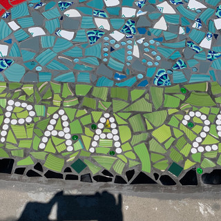 NPAA 2020
