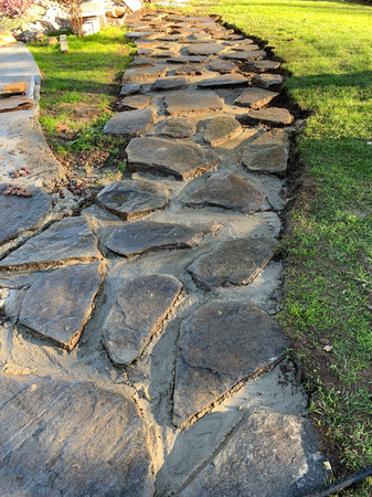 main-path