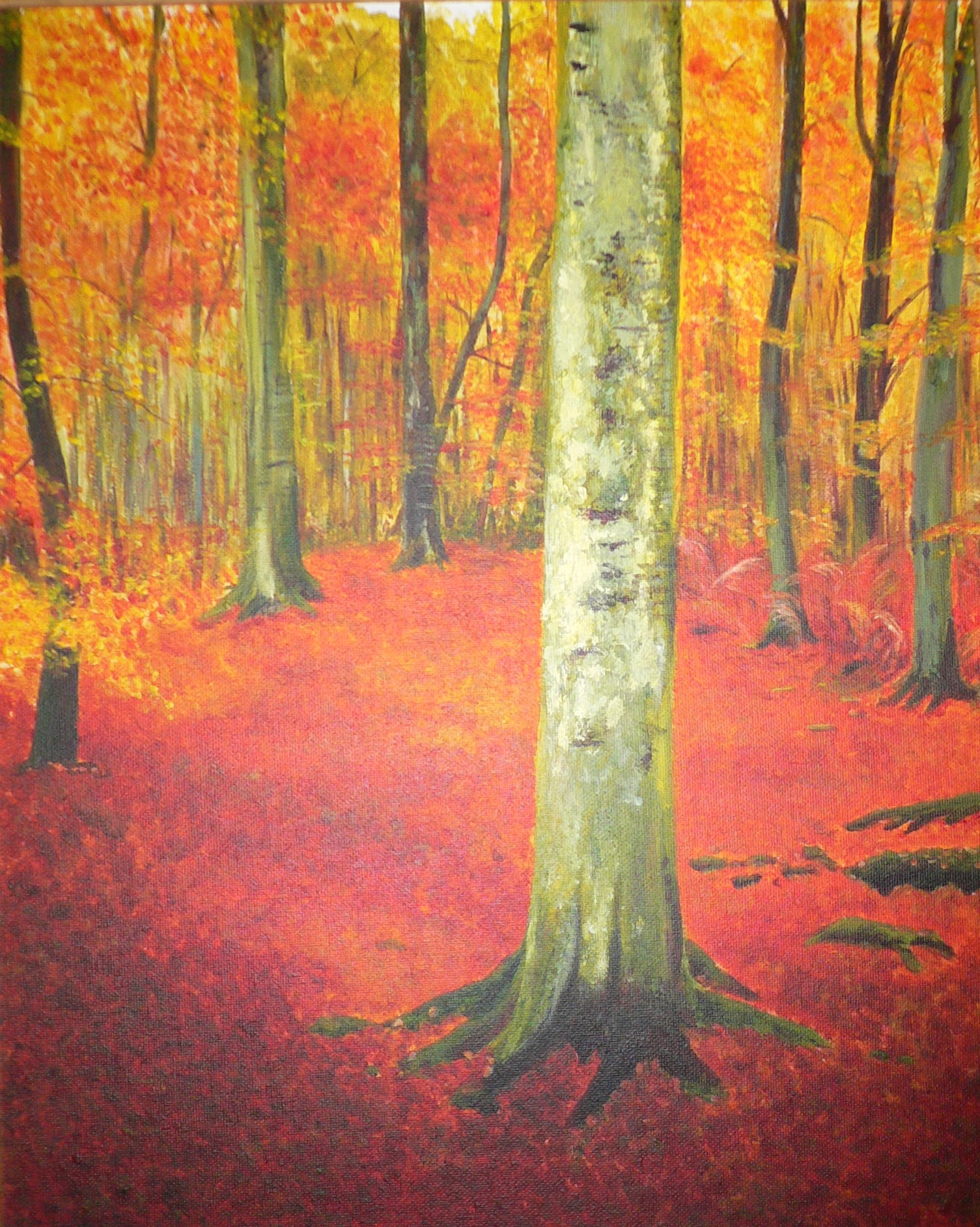 Autum Forest