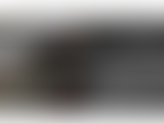 ドイツのハイエンドスタジオ機器メーカー、elysiaのサイトにレビューが掲載