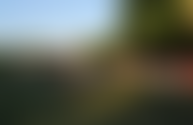 ダラスより帰国