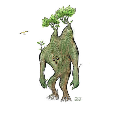 TREE2.jpg