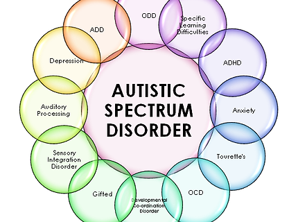 Autism-Spectrum-Disorder-Test PIcture .png