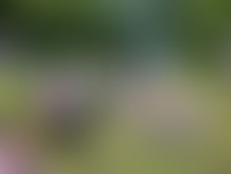 I Like to Move it, Move it