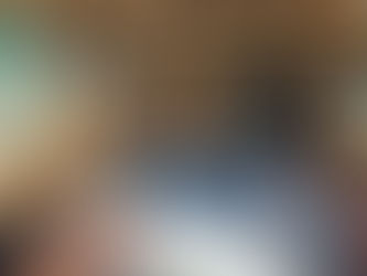 Tiny Shed Living for a Family of 7... insanity?