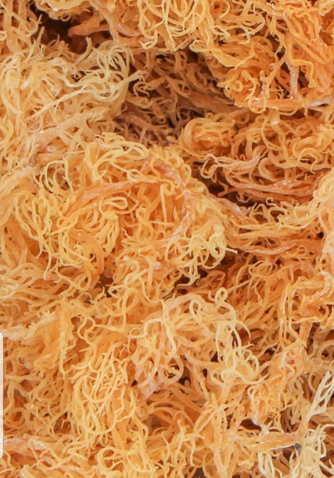 Golden Sea Moss Wholesale