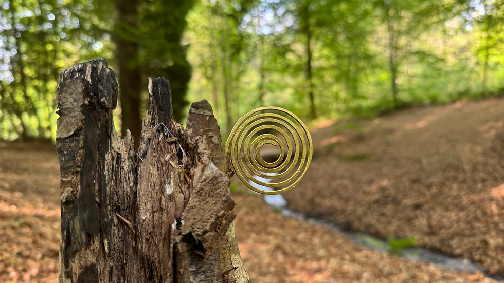 Metal spiral in nature near Sussex Sound Healing studio