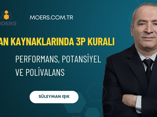 İnsan Kaynaklarında 3P Kuralı: Performans, Potansiyel ve Polivalans