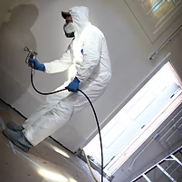 mold remediation.png