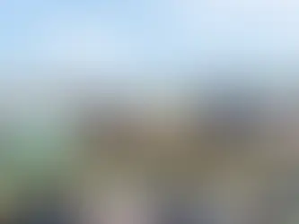 Unraced 2YOs set sights on The Debut