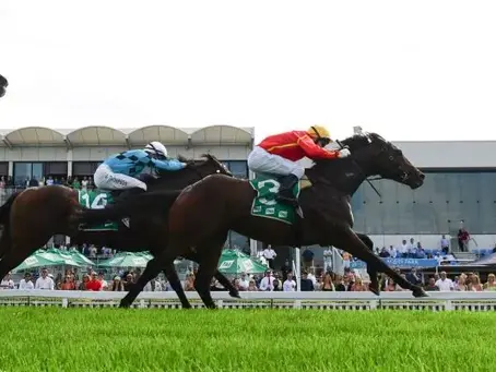 QLD sprinters set to continue Spring momentum