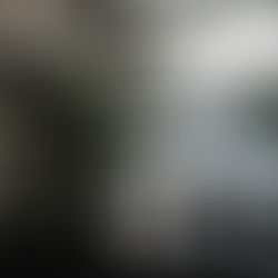 The Mystery Woman
