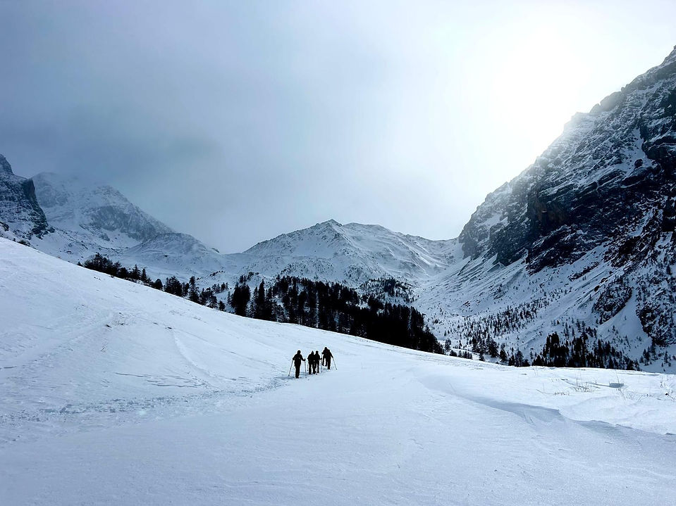 Dam-nature04 - Raquettes à neige en Ubaye.jpeg
