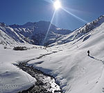 Dam-nature04 - sortie raquette.jpg