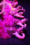 cosmic-summer-showcase-2025_54605373962_o.jpg