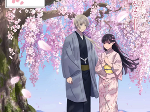 Watashi no Shiawase na Kekkon Season 02 13/13 Sub-Español