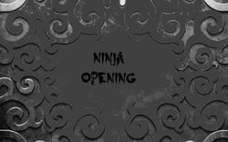 NINJA OPENING