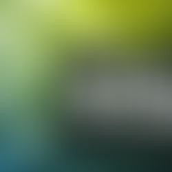 Why Digital Transformations Fail Without Behavioural Architecture