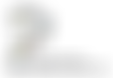 Mednarodna raziskava o uporabi drog