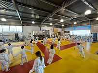 IMG_3828.jpeg