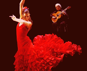 flamenco-custom3more.png