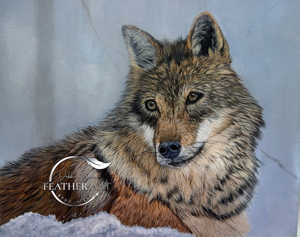 Restful Glance Earns Award