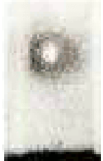 Gif animé constitué à partir des images de la cinématique de croissance d'une bulle; on voit la formation du microjet lors de l'implosion de la bulle