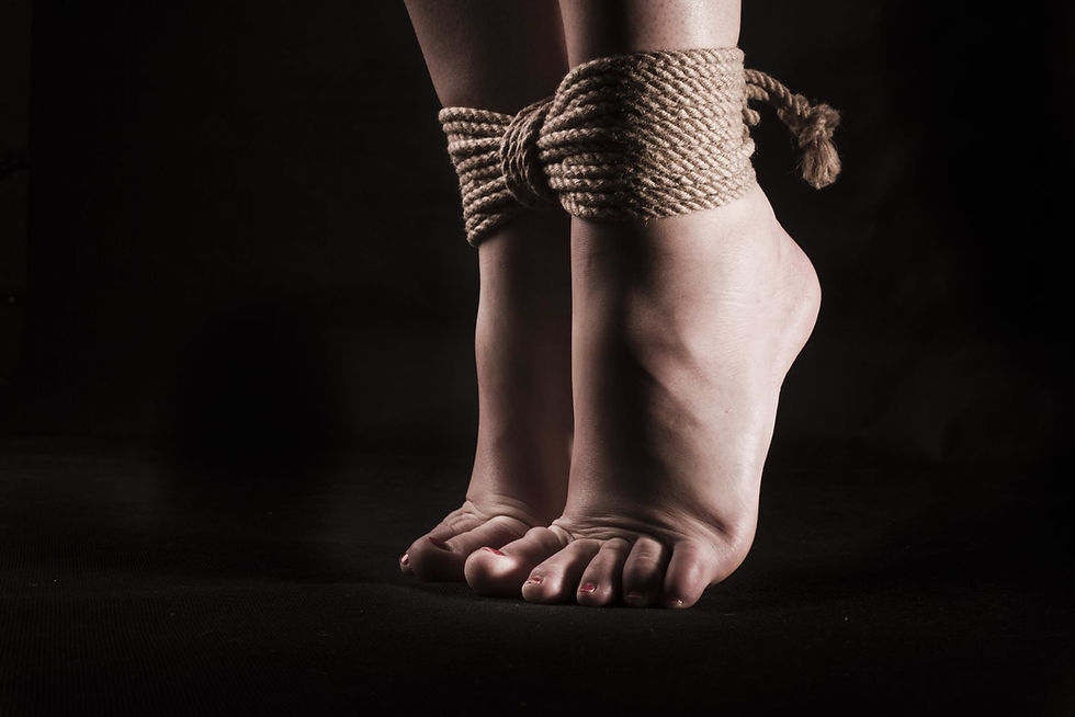 15 pieds.jpg