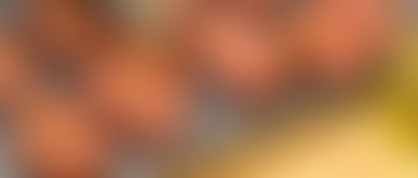 Cevapcici selber machen