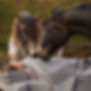 6c821105-dbe0-4968-9f5c-88f2d39de4f8_edited.jpg