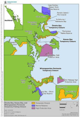 The Two-Year Ban on Rockpool Harvesting