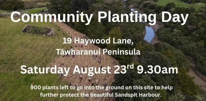 Takatu Landcare Planting Day
