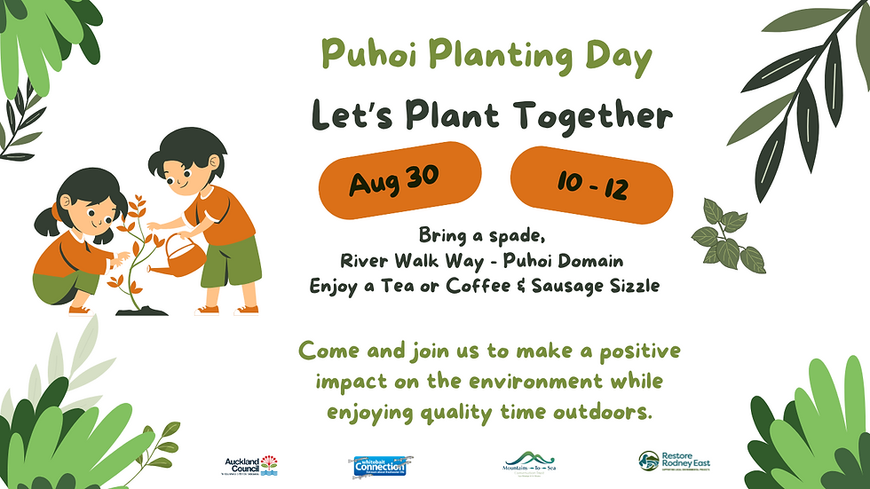 Puhoi Community Planting Day