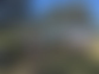 Celebrating Coastal Protection at Okoromai Bay