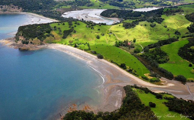 Te Muri Regional Park - Planting Day