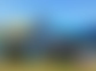 Sunshine, Connection and Collective Impact at the Warkworth A&P Show