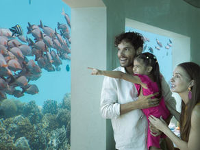 8 Maldives Under water Restaurants for yacht Cruise in Maldives