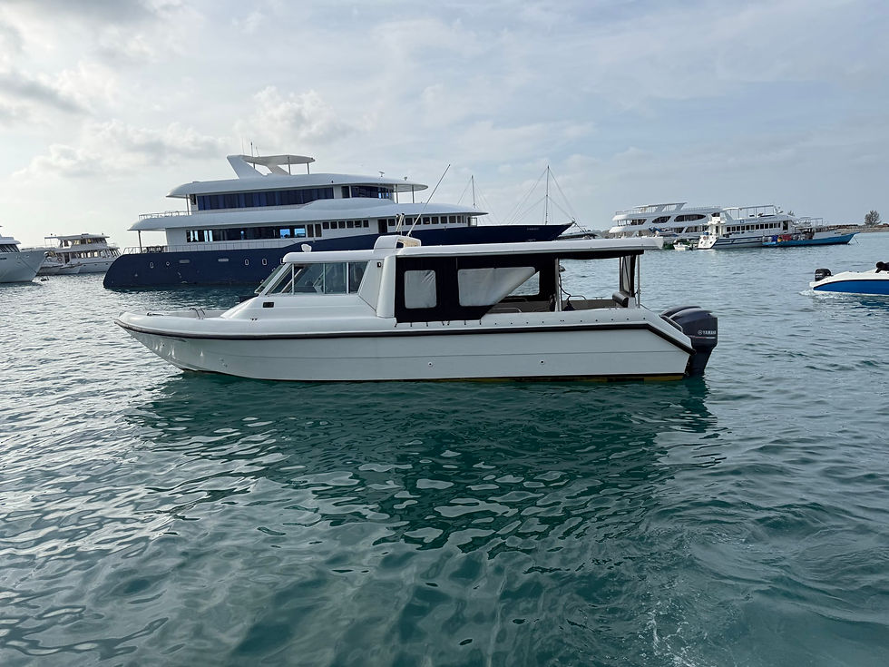 Why Are Speedboat Prices in the Maldives Higher Than Other Countries?